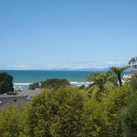 Seaview Holiday Unit - Ohope Beach 외부 사진